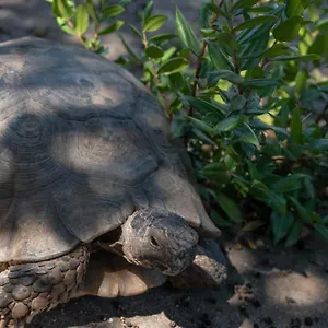 https://appartamento-con-giardino.in-sardinia.net